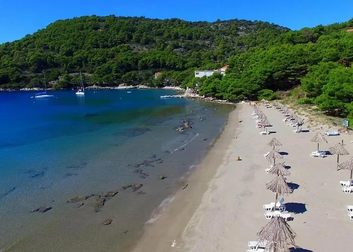 Matusko * 萨普伦纳拉