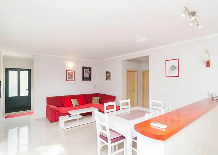 Matusko 萨普伦纳拉